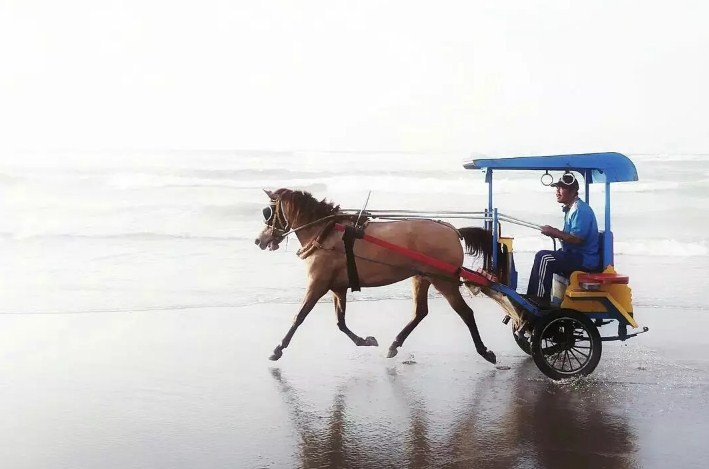 Foto Pantai Parangkusumo