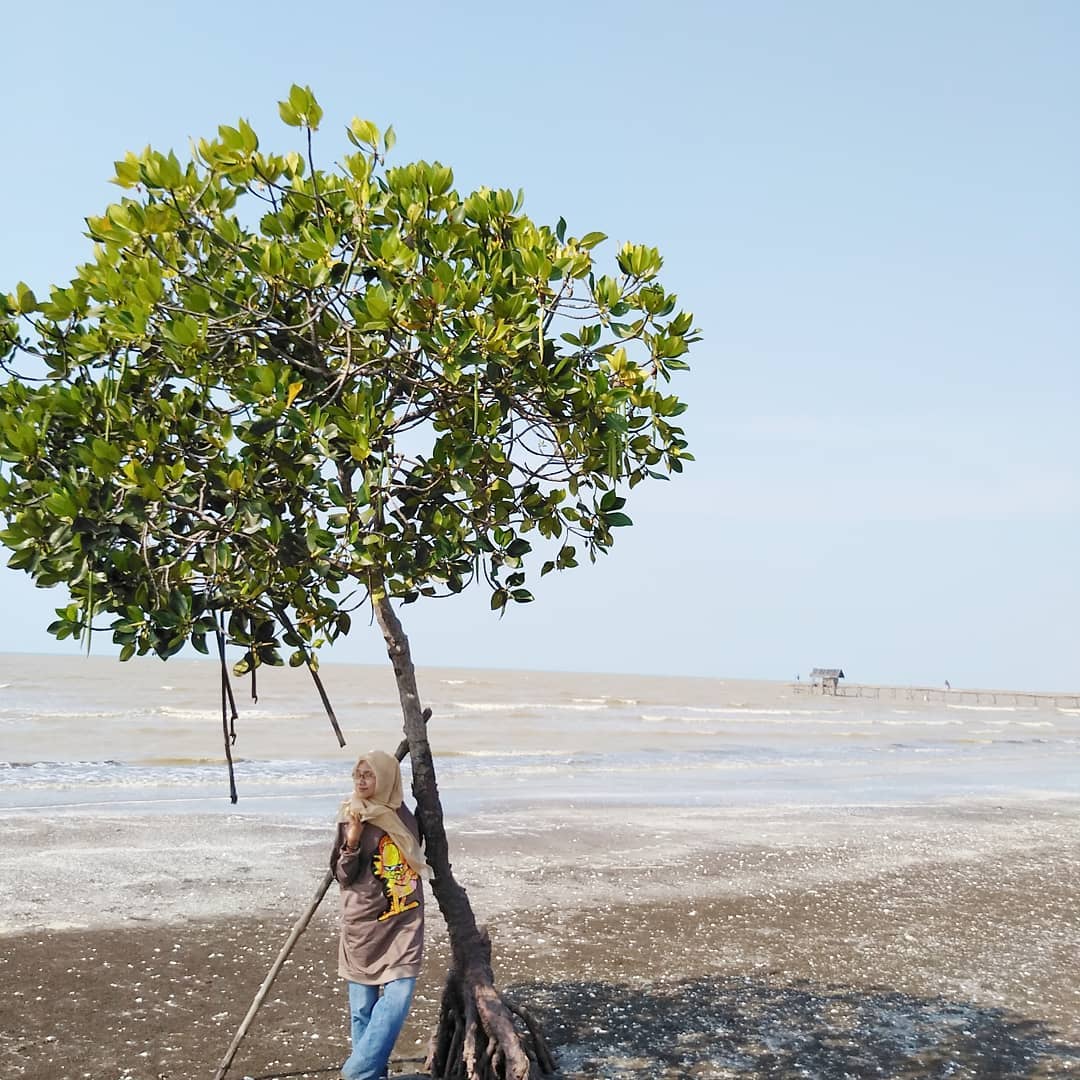 Pantai Tanjung Baru